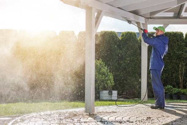 Best Residential Exterior Washing  in Pearsall, TX